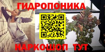 крисы Гагарин