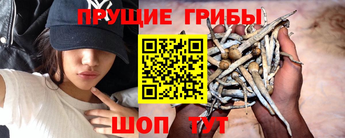 Галлюциногенные грибы мухоморы  Галлюциногенные грибы мухоморы  Миллерово  Вход с VPN 